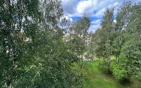 Birch View Apartment